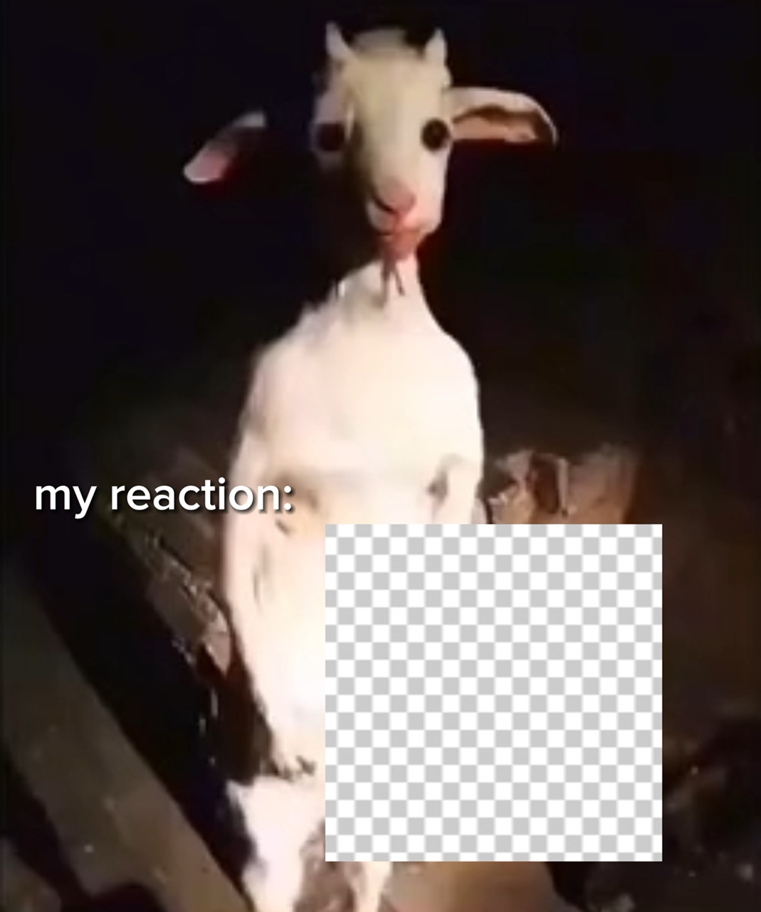 Lustige Reaktion TP