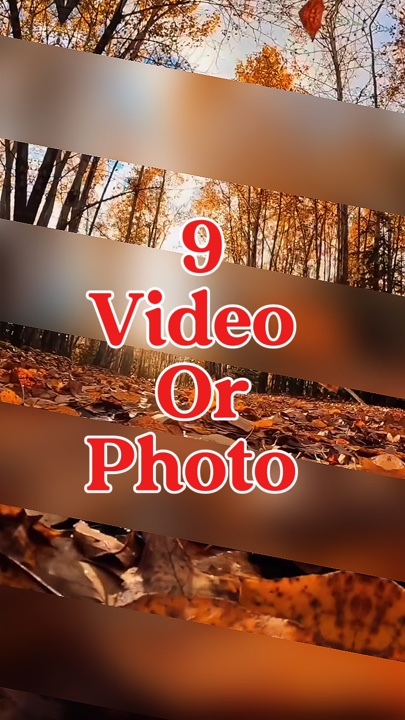 9 vidéo ou photo 