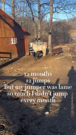 12 months 12 jump