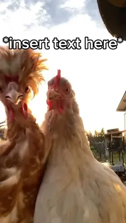 Chicken Techno