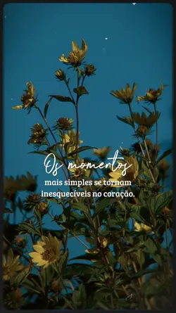 Momentos
