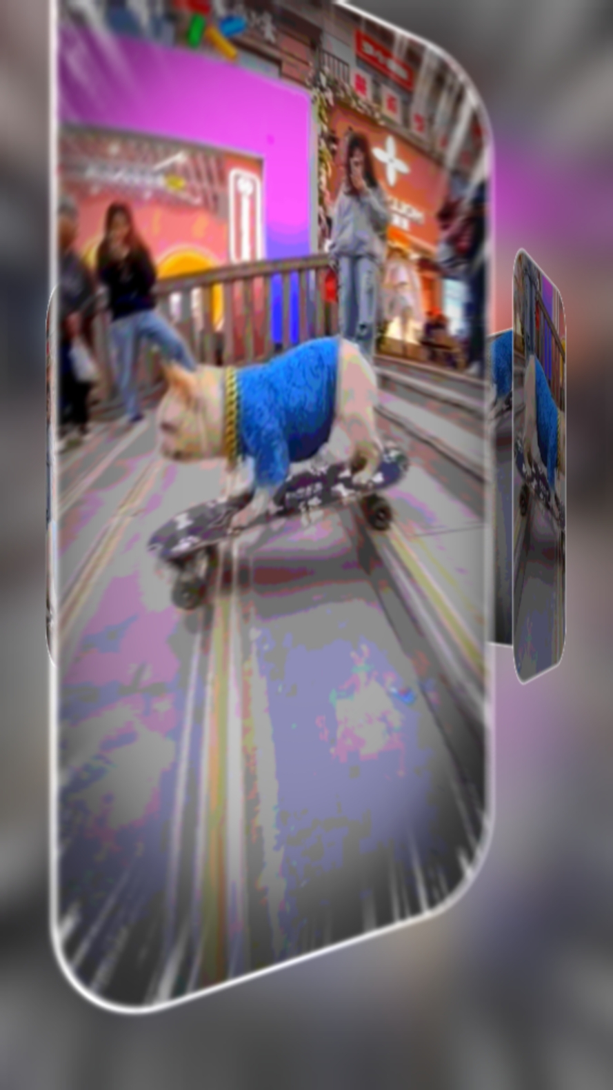 Geschwindigkeit Hund