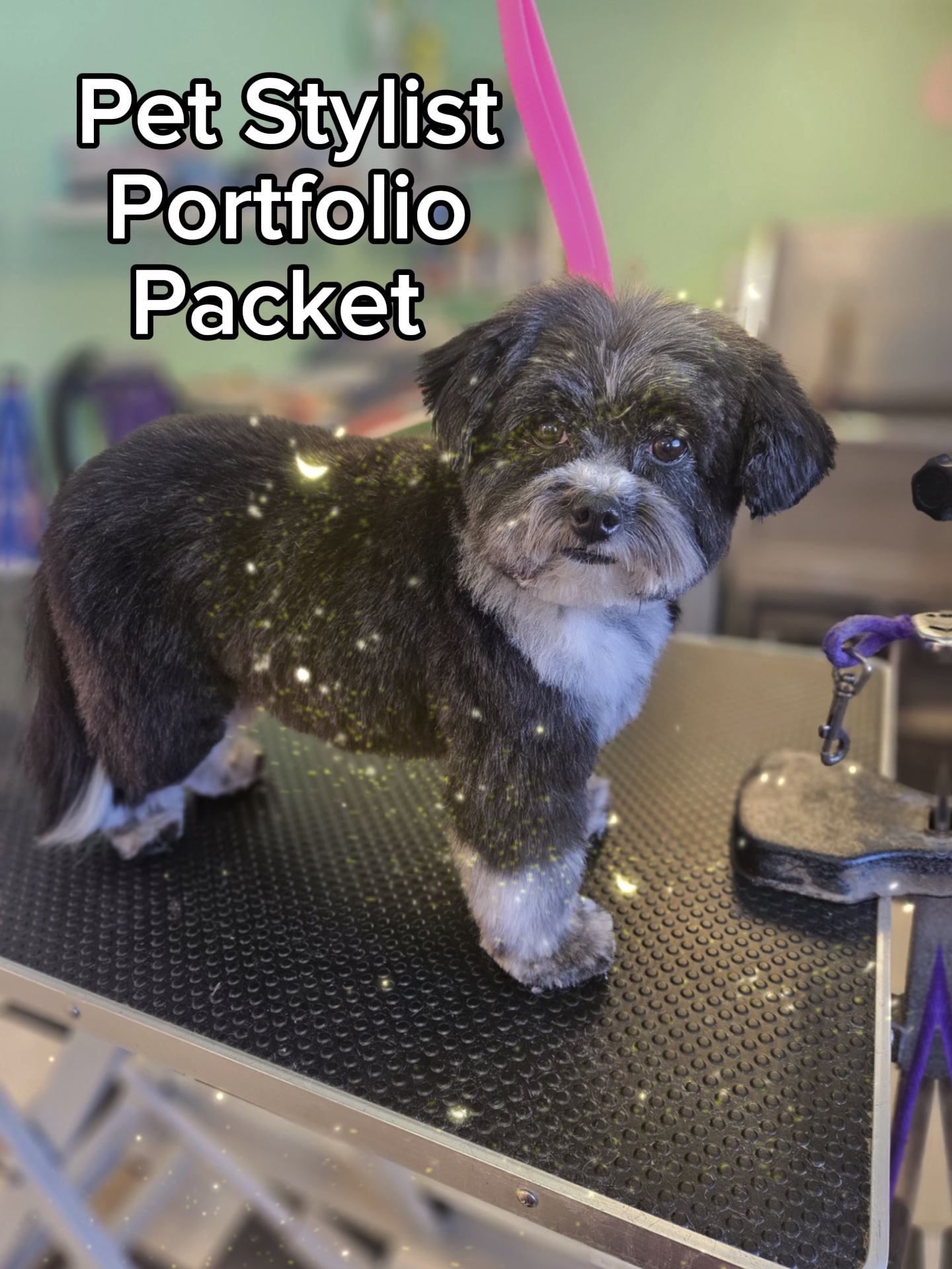 Pet Stylist Packet