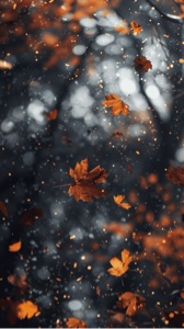 Fall Vibes 🍂🍁