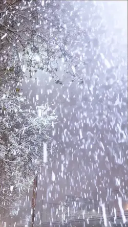 Heavy snow