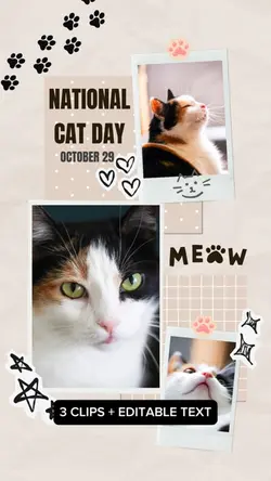 National Cat Day