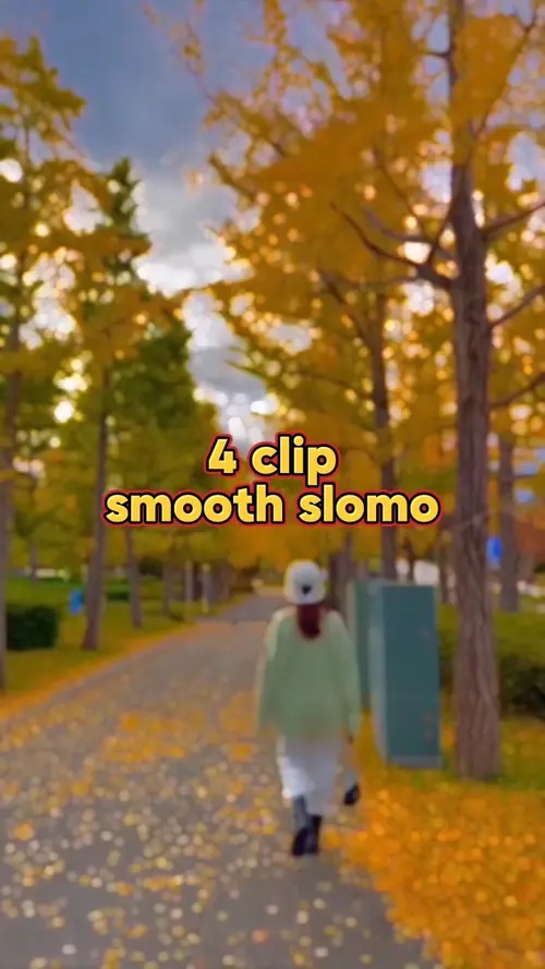 slomo lisse