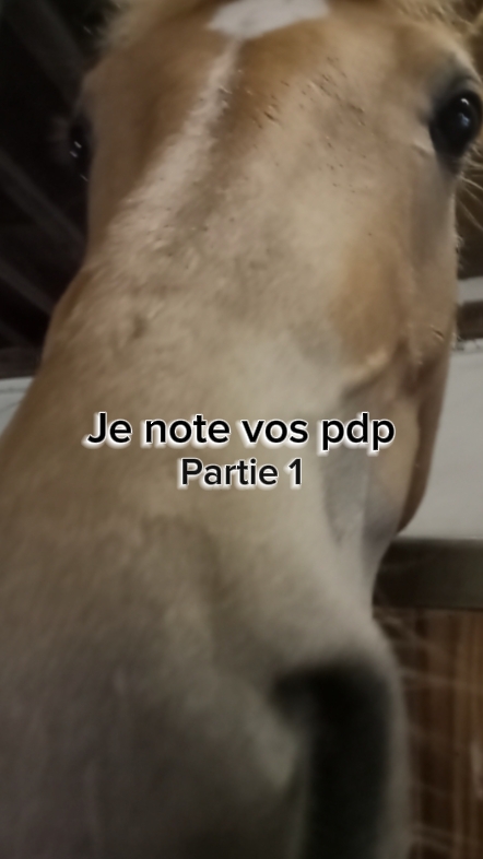 Elles sont toutes