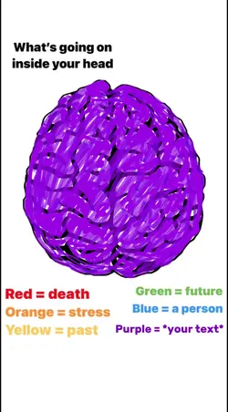 my brain = purple ๐