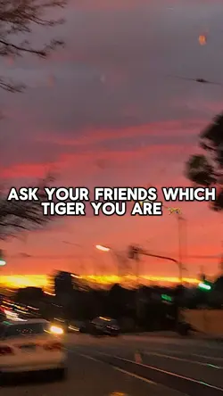 which tiger are you?