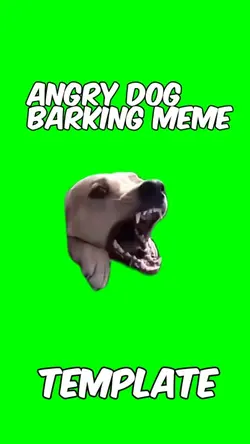 Angry dog bark