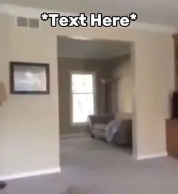 Vacuum meme 