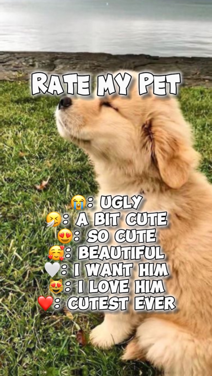 Évaluez mon animal🐕