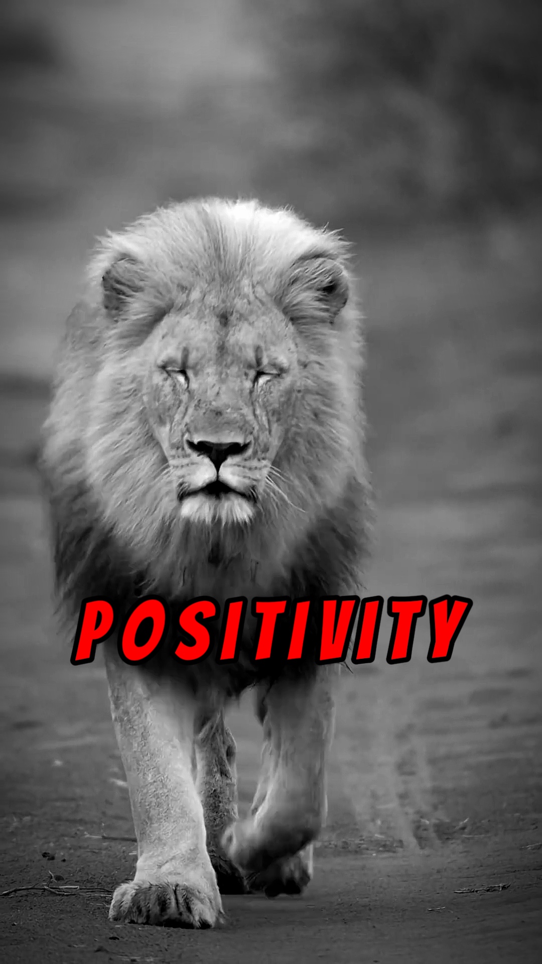 Vibrações positivas 