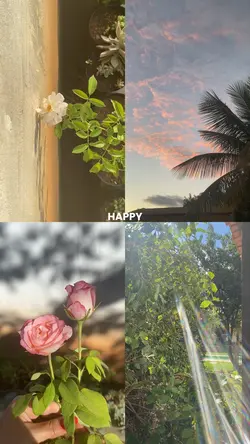 momentos felizes