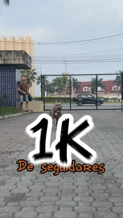 1000 seguidores 