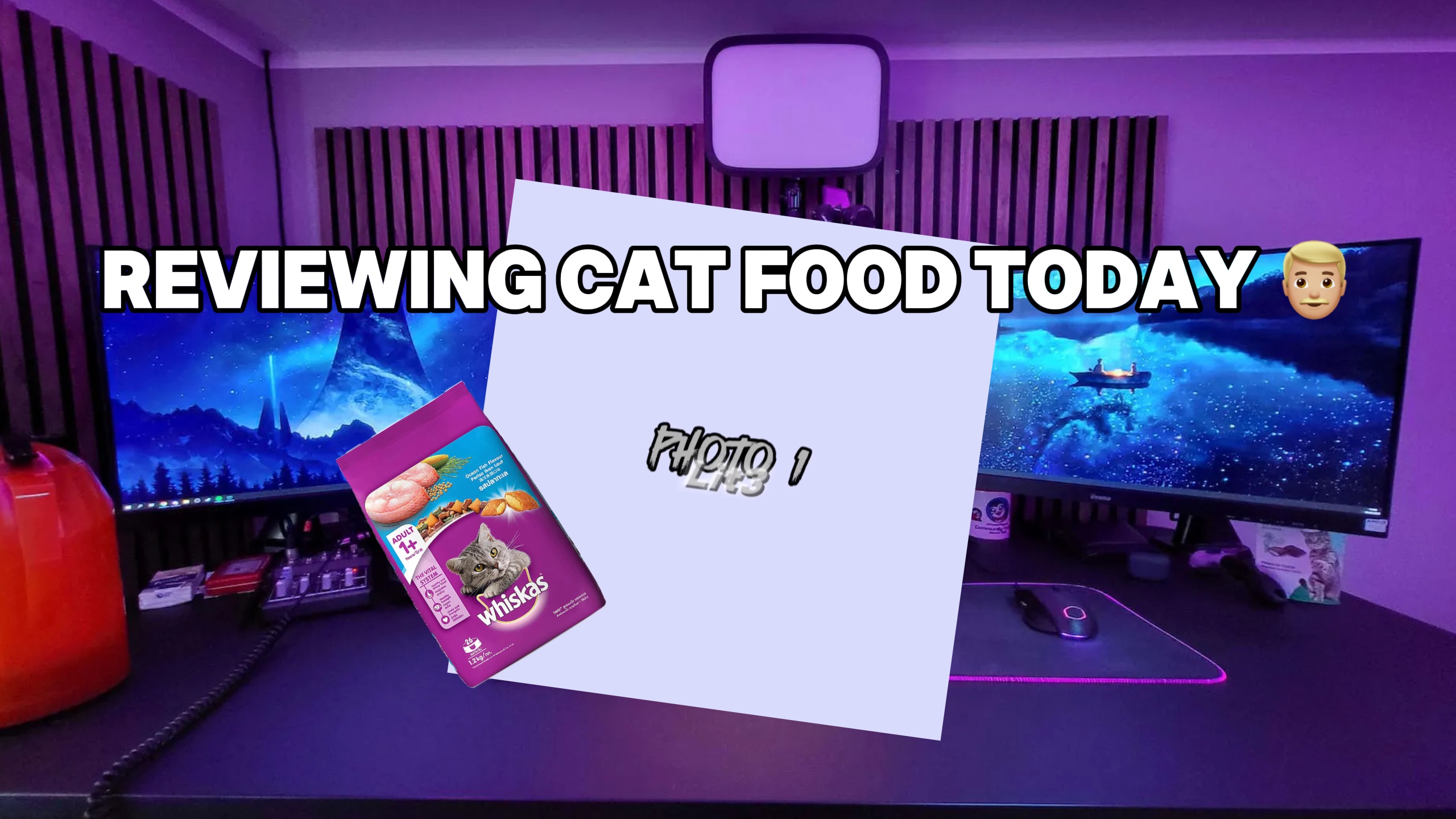 Meninjau Makanan Kucing 💀