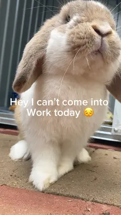 I can’t work today