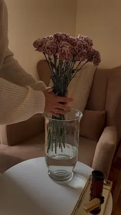 Mini Vlog