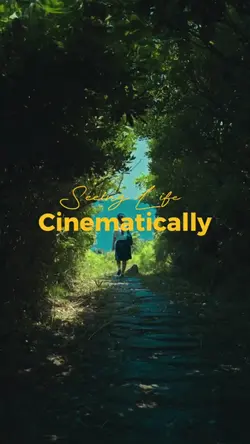 cinematic life