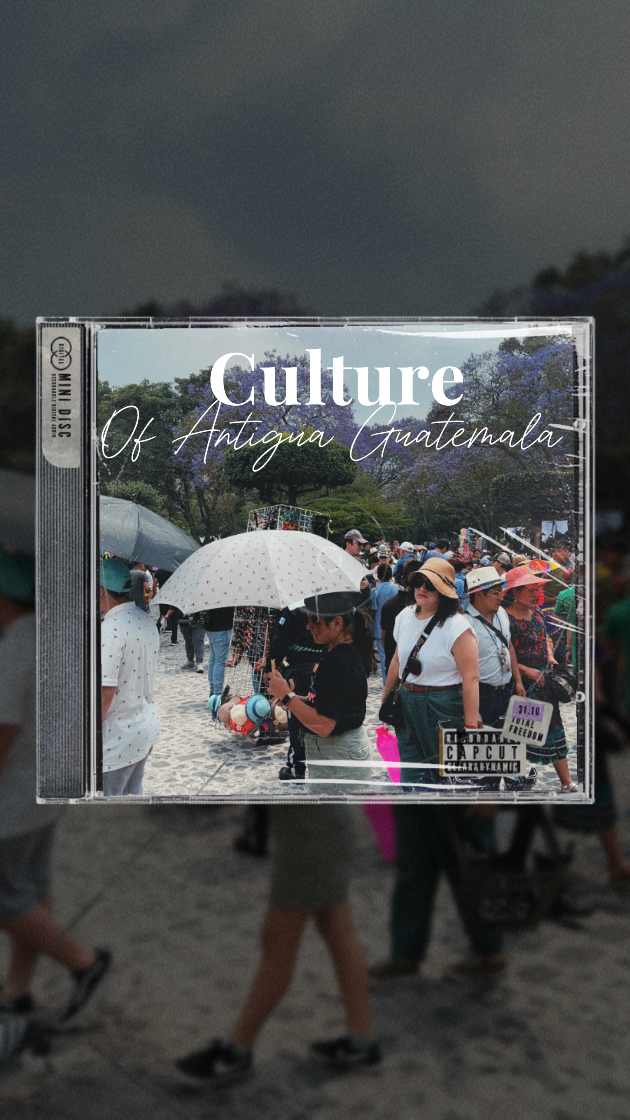 Cover Picture