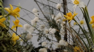 Spring movie