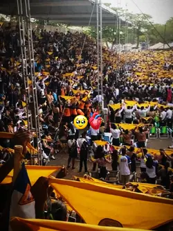 Desbravador ,Feliz