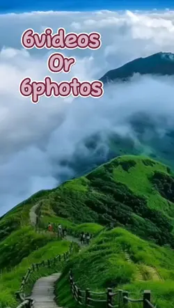 6videos/photos