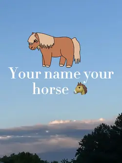 Your name your horse