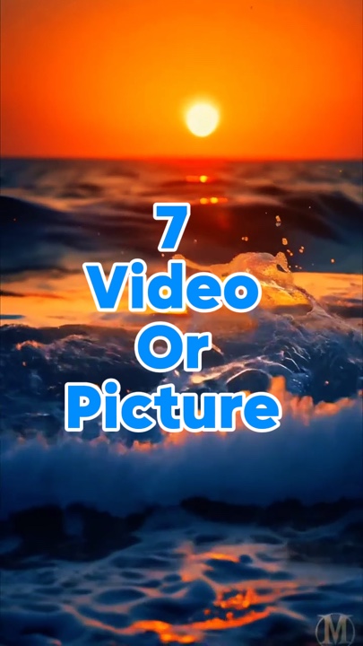 7 video or picture 