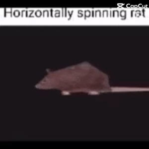 Rato giratório 
