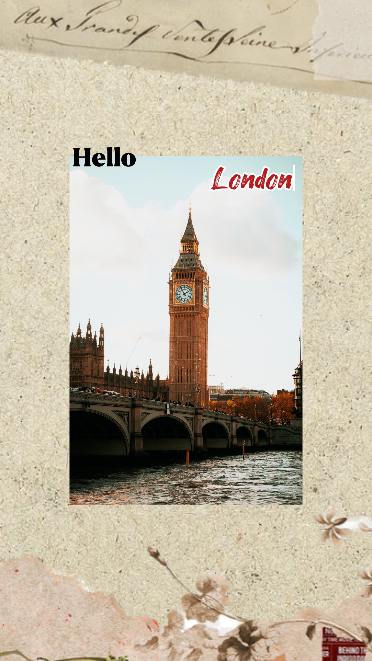Halo London