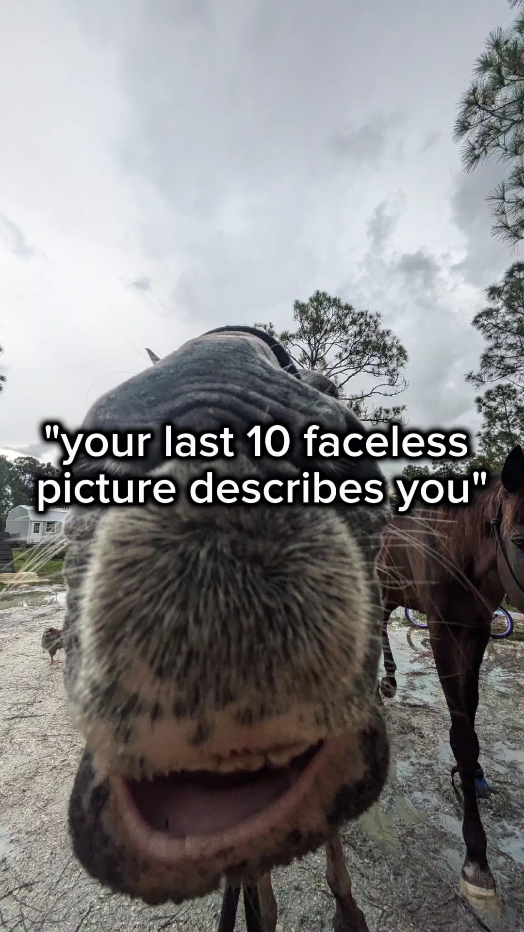 ten pictures 