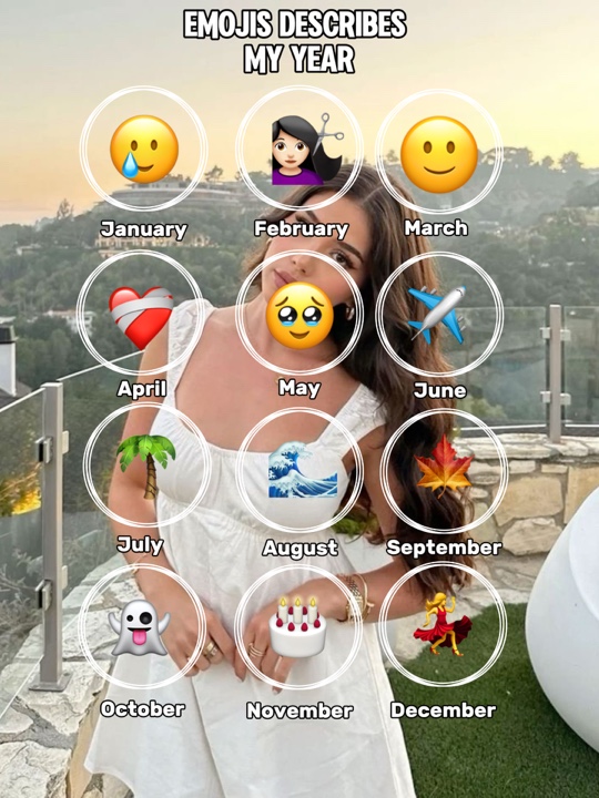 12 meses em emojis 