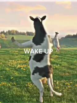 ITS MARCH 1ST