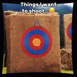 Things To Shoot