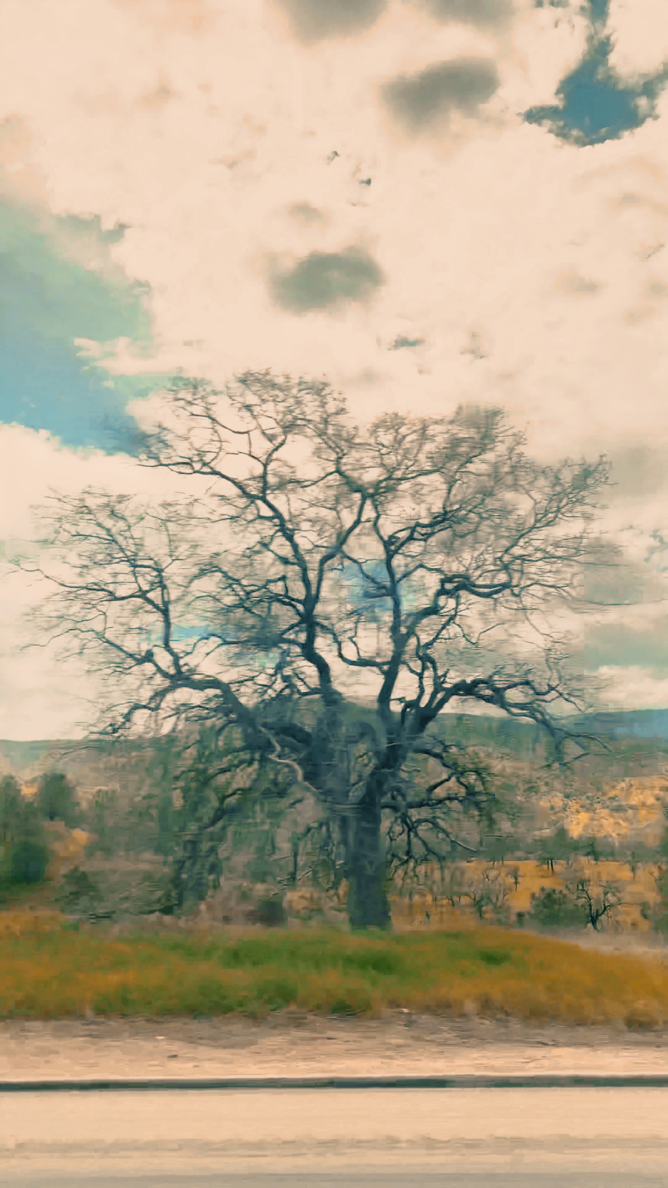 Spring 2