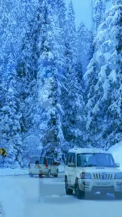Snowfall 