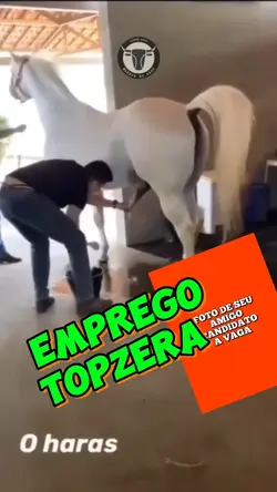 Emprego Topzera