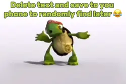 No Tang Turtle