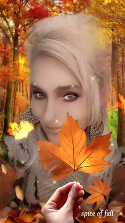 spice of fall