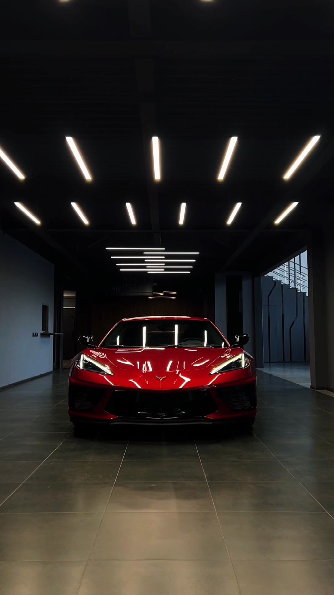 CAR ~ TEMPLATE