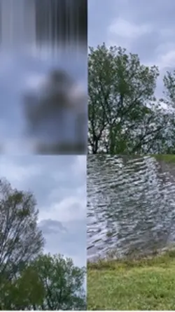 4 video