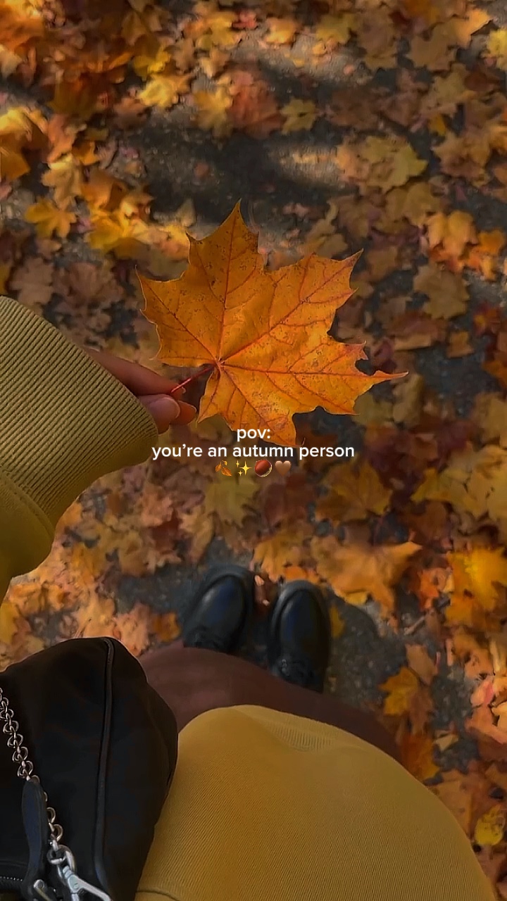 23 octobre