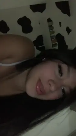 NOVO MODELO 