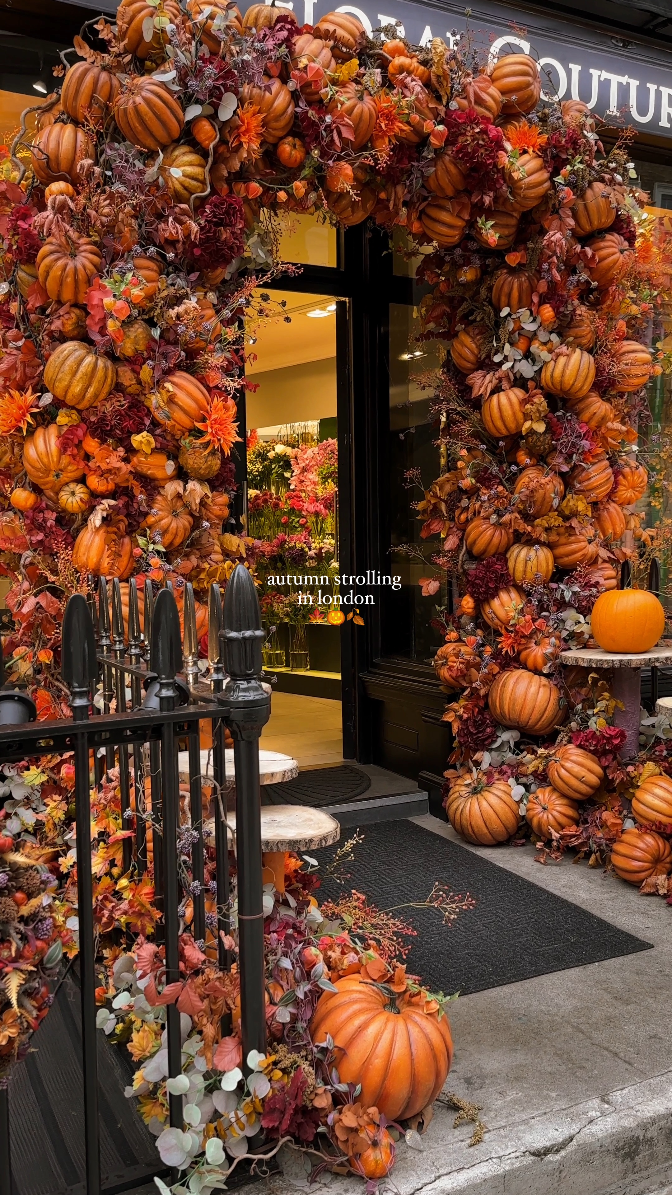 autumn in london 🍂🎃