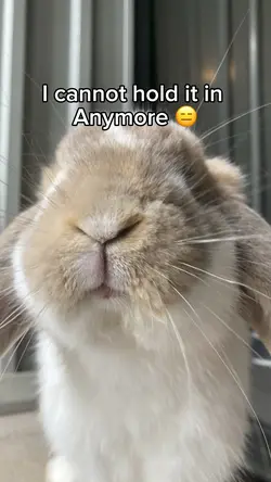 I CANNOT HOLD IT IN 