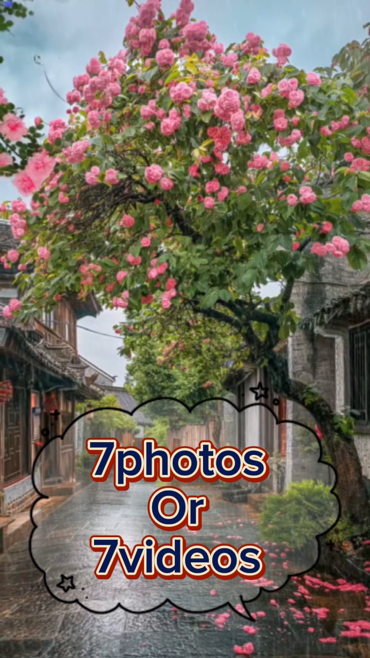 7photos/videos