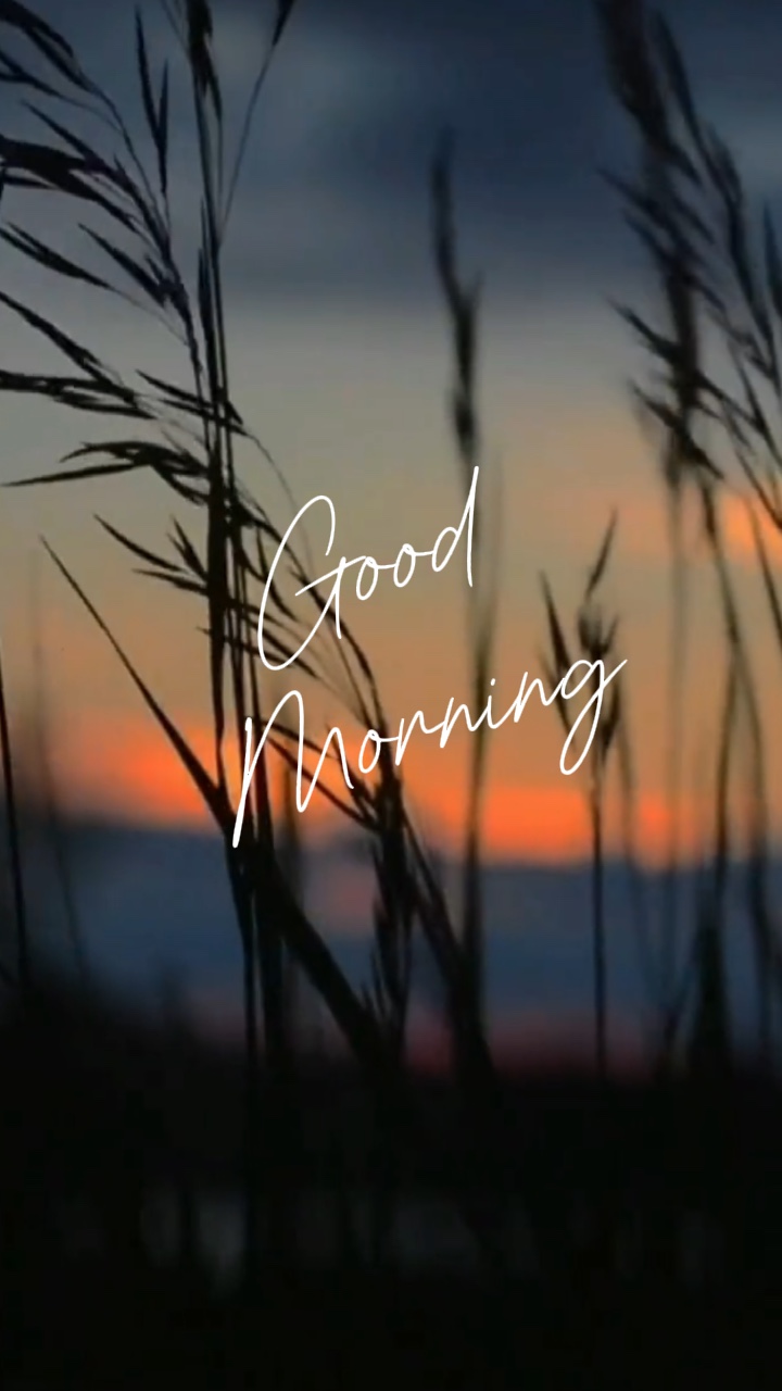 Bom Dia 