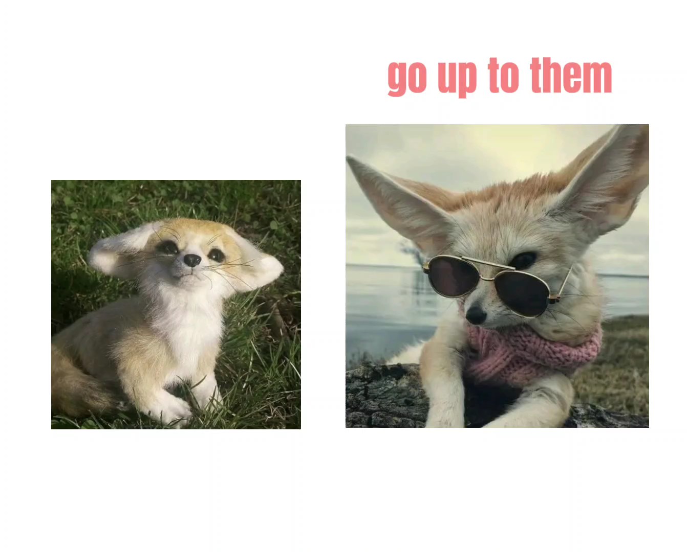 canigetacuppwease